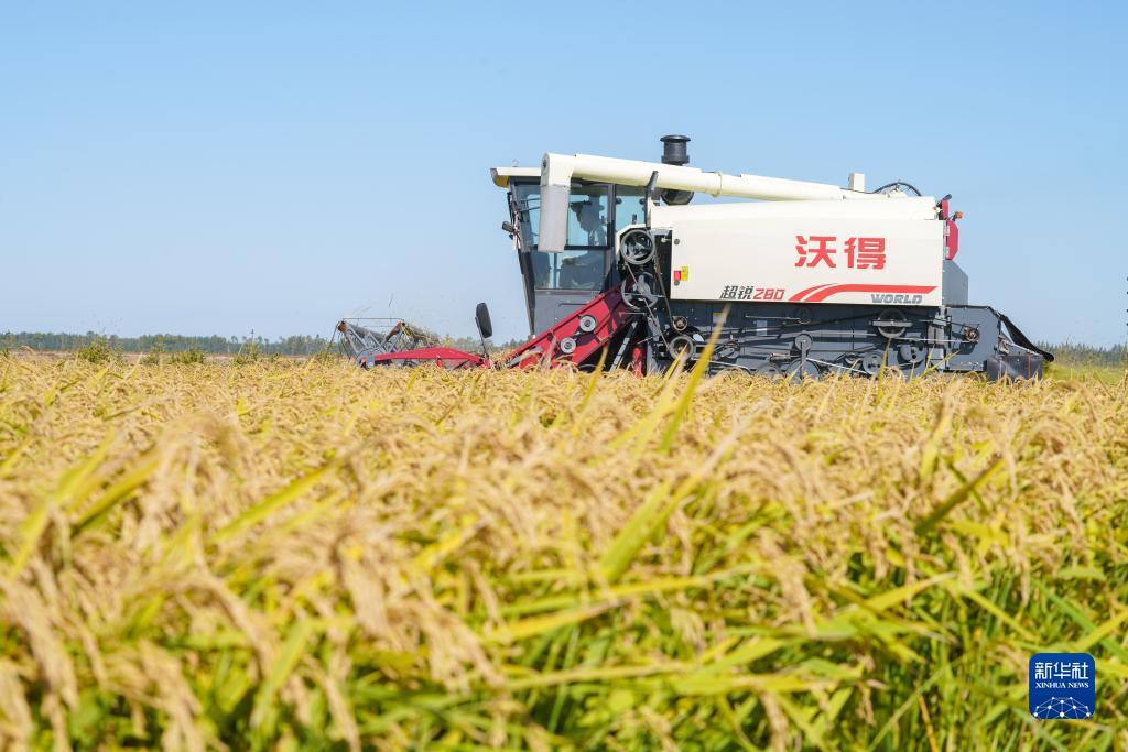 ag账号出售